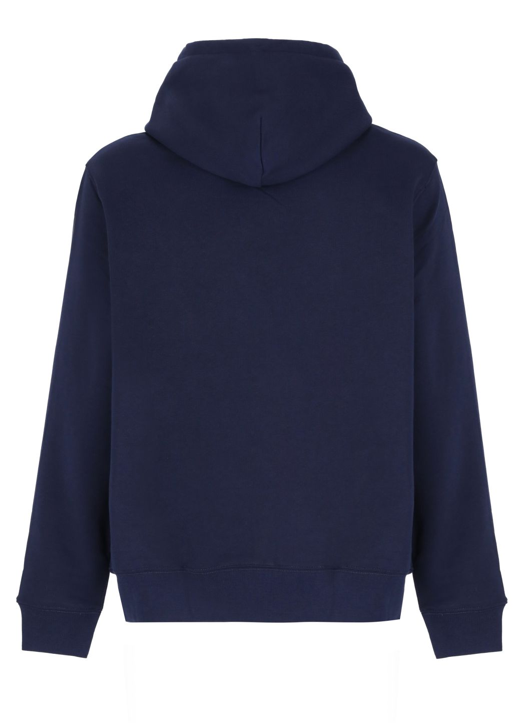 Polo Bear hoodie